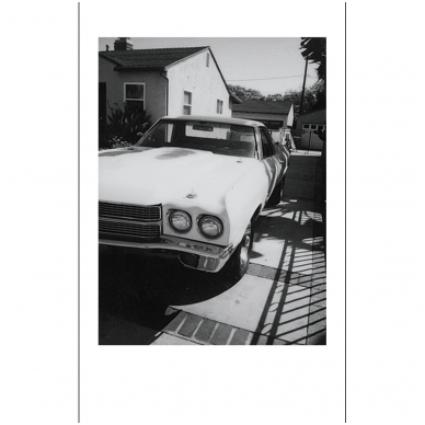 FujiFilm Instax  Mini MONOCHROME 10 lapelių 2