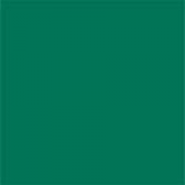 Popierinis fonas Colorama 2.75x11m Spruce green