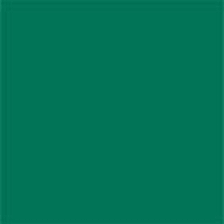 Popierinis fonas Colorama 2.75x11m Spruce green